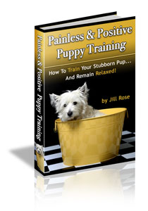 Painless and Positive Puppy Training